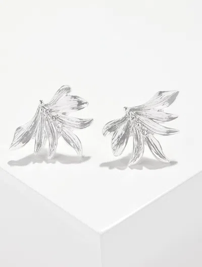 Talbots Palm Leaf Stud Earrings - Silver - 001
