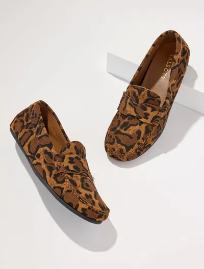 Talbots Parker Suede Moccasins Shoes - Printed - Dark Brown - 5m