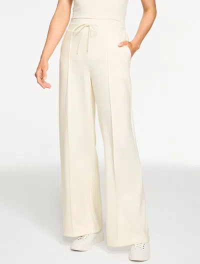 Talbots Plus Petite - Airknit Stretch Wide Leg Pants - Ivory - 2x  In White