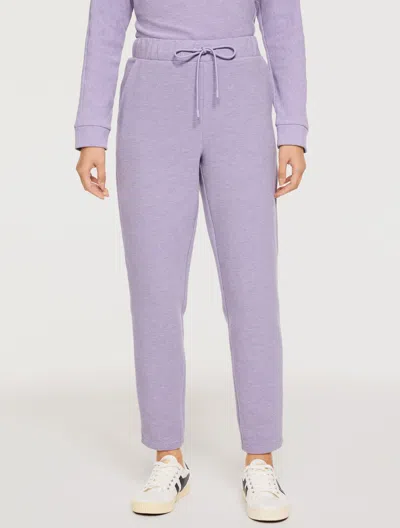 Talbots Plus Size - Ottoman Rib Taper Leg Pants - Soft Purple Heather - 3x