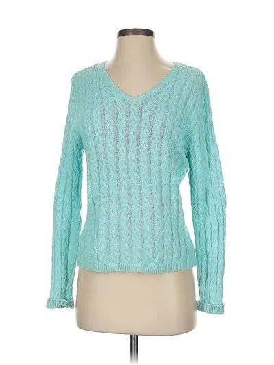 Pre-owned Talbots Pullover Sweater In Blue