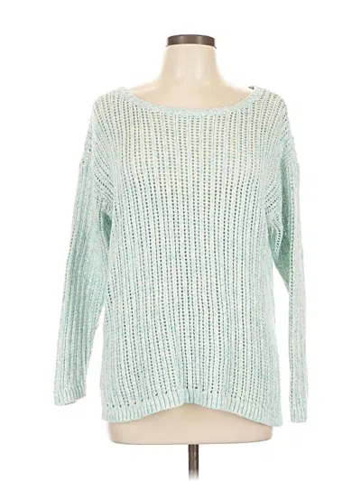 Pre-owned Talbots Pullover Sweater In Blue