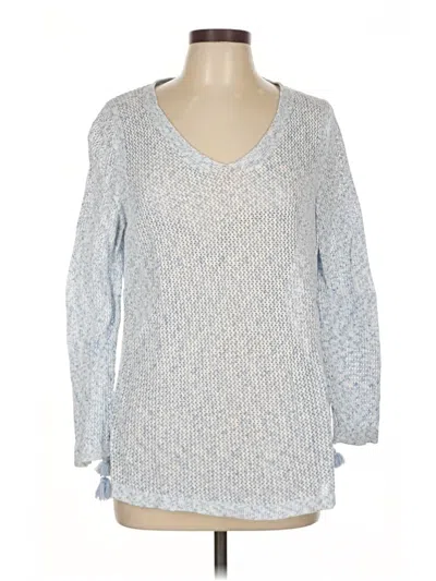 Pre-owned Talbots Pullover Sweater In Blue