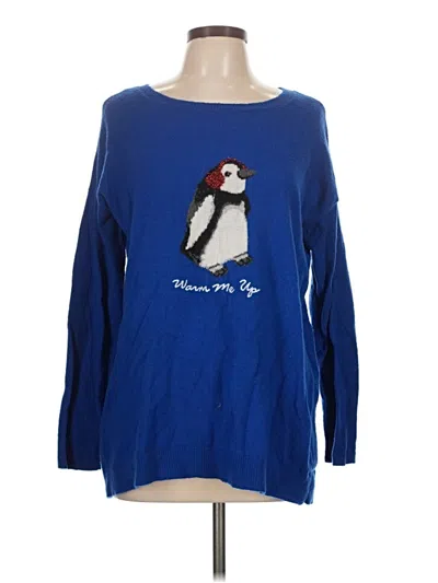 Pre-owned Talbots Pullover Sweater In Blue
