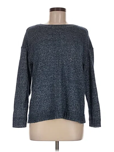 Pre-owned Talbots Pullover Sweater In Blue
