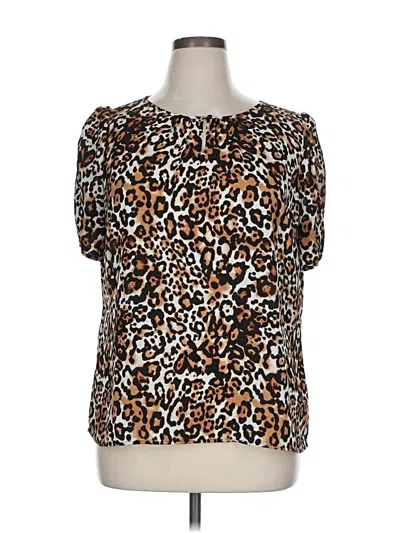 Pre-owned Talbots Short Sleeve Blouse In Brown