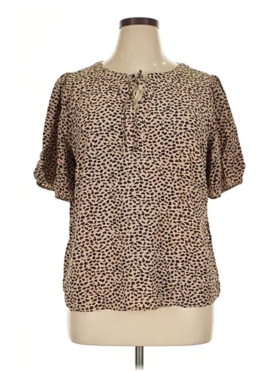 Pre-owned Talbots Short Sleeve Blouse In Brown