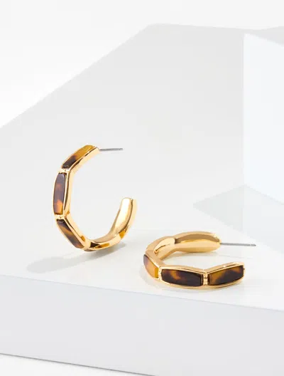 Talbots Tort Plates Link Hoop Earrings - Tortoise Shell/gold - 001  In Tortoise Shell,gold