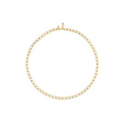 Talis Chains Brooklyn Chain Necklace In Gold