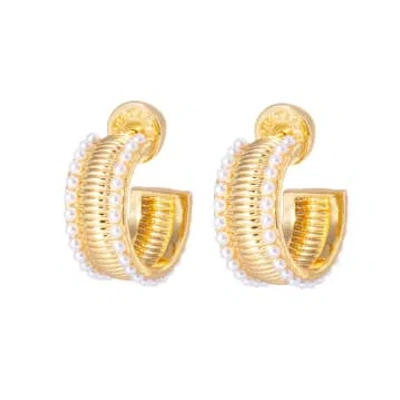 Talis Chains Manhattan Flat Hoop Earrings In Gold