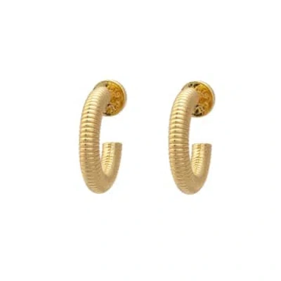 Talis Chains Ridge Hoop Earrings In Gold