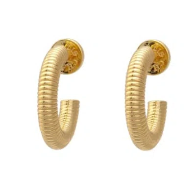 Talis Chains Ridge Hoop Earrings In Gold