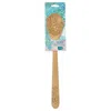 Talisman Designs Laser Etched Beechwood Sauce Spoon, Succulent Collection In Multi