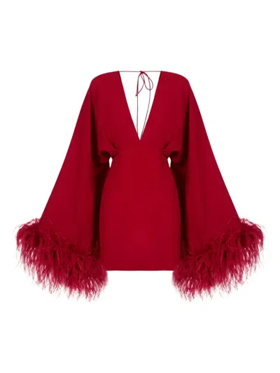 Taller Marmo Magnifique Feather-trimmed Mini Dress In Red