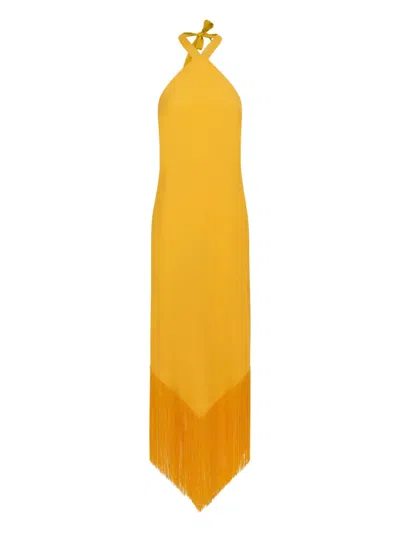 Taller Marmo Nina Fringed-hem Maxi Dress In Yellow