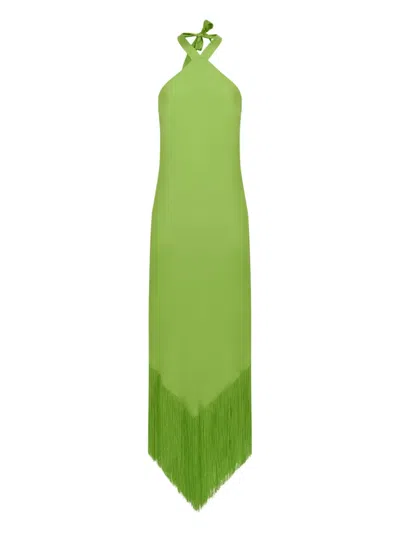 Taller Marmo Nina Midi Dress In Green