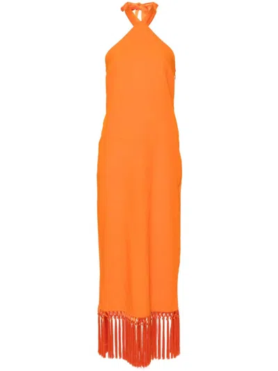 Taller Marmo Nina Midi Dress In Orange
