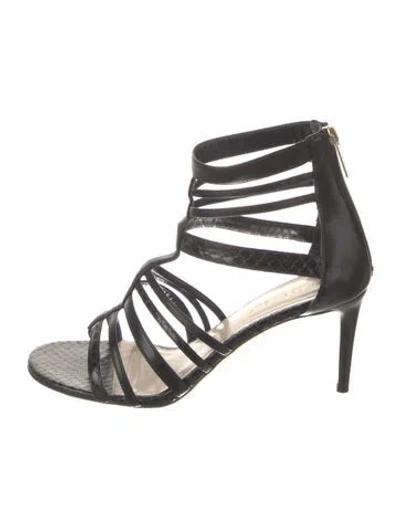 Pre-owned Tamara Mellon Snakeskin Cutout Accent Gladiator Sandals In Black