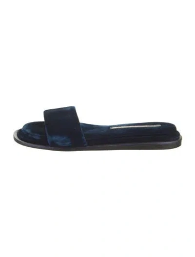 Pre-owned Tamara Mellon Velvet Slides In Blue