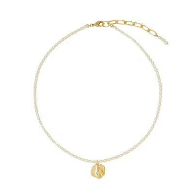 Tami&tami Women's Neutrals / Gold Matias Gold Moon Necklace In Gray