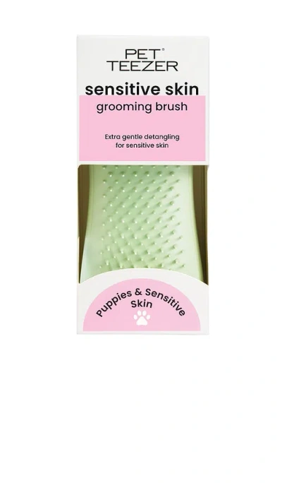 Tangle Teezer Puppy Detangling Grooming Brush In 绿色