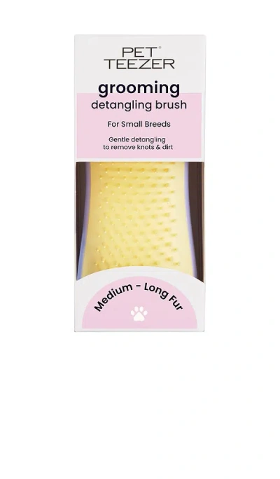 Tangle Teezer Small Detangling Dog Grooming Brush In 淡紫色、黄色