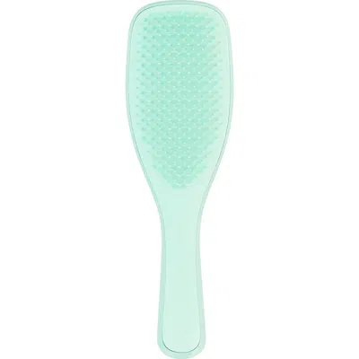 Tangle Teezer Ultimate Detangler Hairbrush For Fine & Fragile In Jade Lagoon