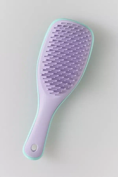 Tangle Teezer The Mini Ultimate Detangler In Purple