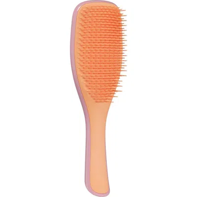 Tangle Teezer The Ultimate Detangler Hairbrush