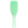 Tangle Teezer Ultimate Detangler Hairbrush In Mint