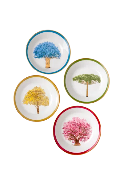 Tania Bulhões Soup Plate Arvores Do Brasil Set Of Four In Multi
