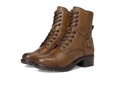 Taos Footwear Crave In Brown