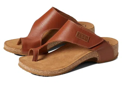 Taos Footwear Loop In Brown