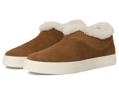 Taos Footwear Mini Chic In Brown