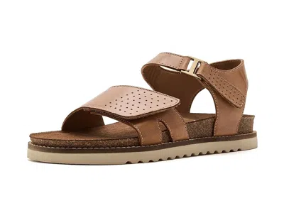 Taos Footwear Modern In Brown