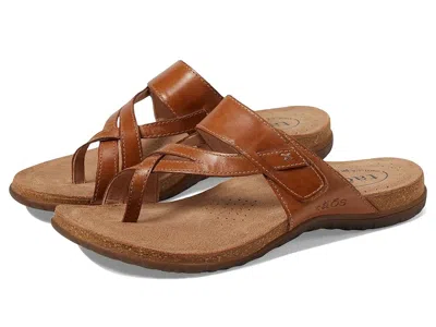 Taos Footwear Perfect In Brown