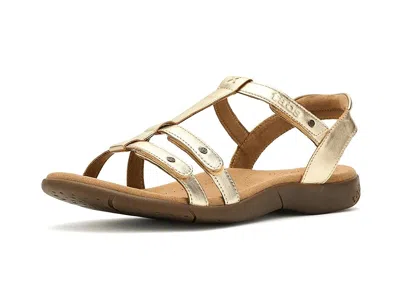Taos Footwear Trophy 2 In Gold