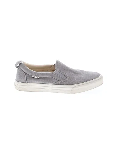 Pre-owned Taos Sneakers In Gray