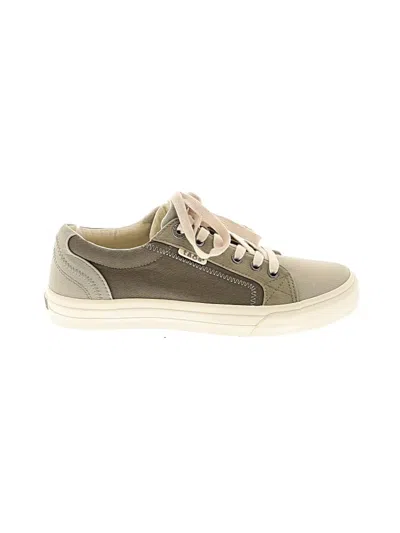 Pre-owned Taos Sneakers In Gray
