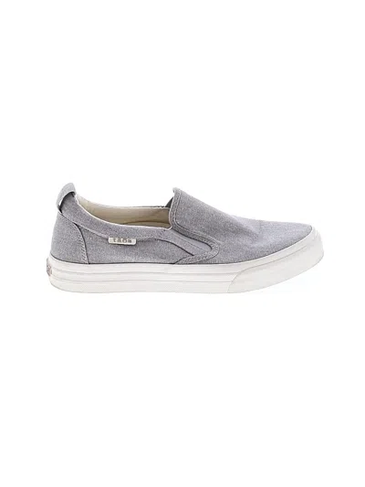 Pre-owned Taos Sneakers In Gray