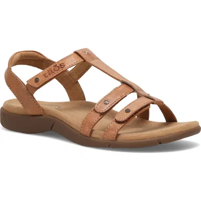 Taos Trophy 2 Sandal In Brown
