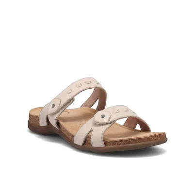 Taos Women's Bandalero Strap Sandals In Stone Nubuck In Neutral