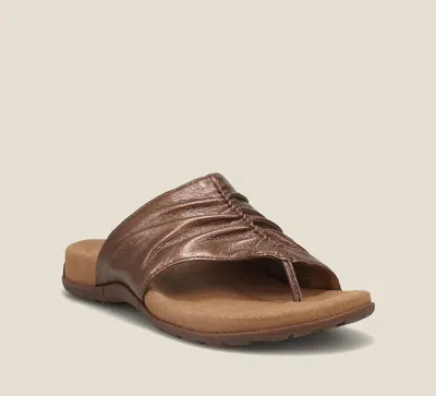 Taos Women's Gift 2 Thong Sandal In Bronze In Brown