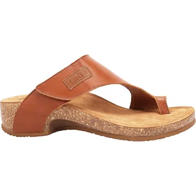Taos Women's Loop Sandal In Brandy In Brown