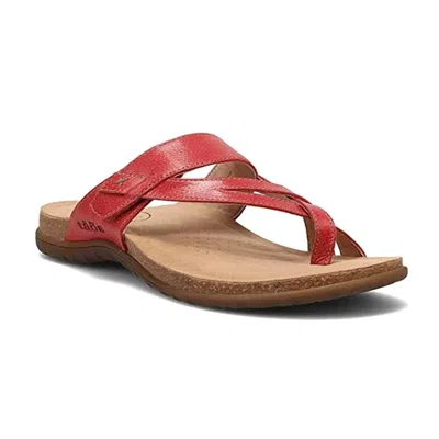 Taos Women's Perfect Thong Sandal In True Red In Multi
