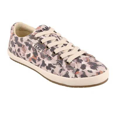 Taos Women's Star Sneaker In Sunset Safari In White