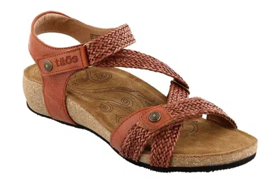 Taos Women's  Trulie Wedge Sandal In Brick In Red