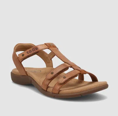 Taos Women's Trophy 2 Sandals In Honey In Gold