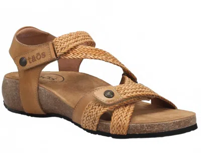Taos Women's Trulie Sandal In Camel In Brown