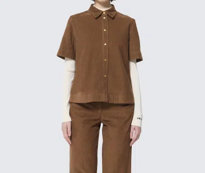 Tara Jarmon Camilia Chemise Blouse In Noisette In Brown